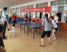 乒乓球比赛女双决赛
